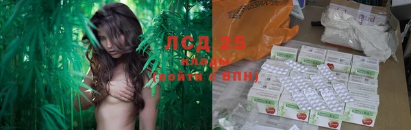 эйфоретик Сафоново