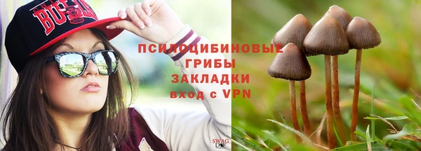 эйфоретик Сафоново
