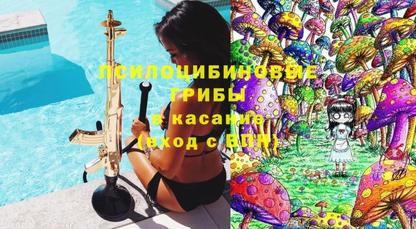эйфоретик Сафоново
